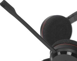Гарнитура Jabra Evolve 20, проводные, черный