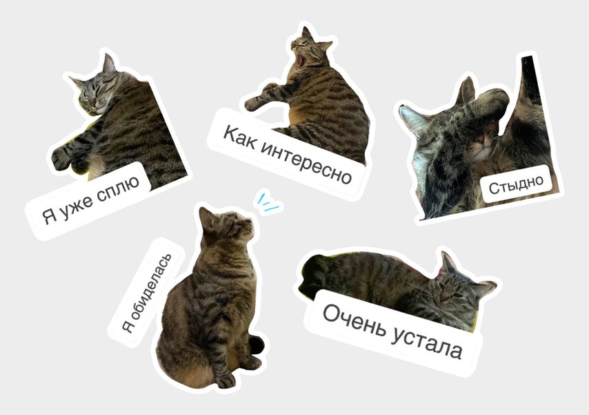На компьютере, как оказалось, удобно удалять фон изображения, поэтому стикеры получились аккуратными