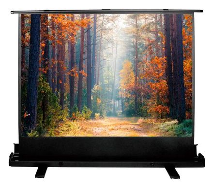 Экран Cactus FloorExpert CS-PSFLE-180X135, 180х135 см, 4:3, напольный