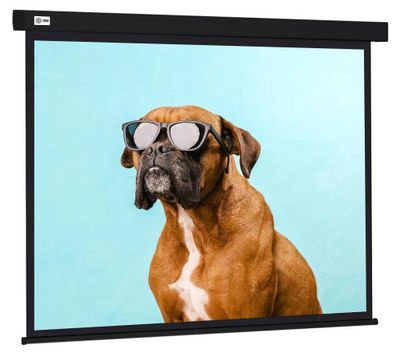 Экран Cactus Wallscreen CS-PSW-183X244-BK, 244х183 см, 4:3, настенно ...
