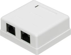 Розетка Lanmaster (TWT-SM2-4512-WH) настен. RJ45+RJ12 1 кат.5E UTP бел. (упак.:1шт)