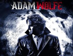 Игра GAME OF PID Adam Wolfe, для ПК, регион: Россия