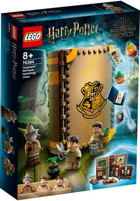 Конструктор Lego Harry Potter Учеба в Хогвартсе: Урок травологии,  76384