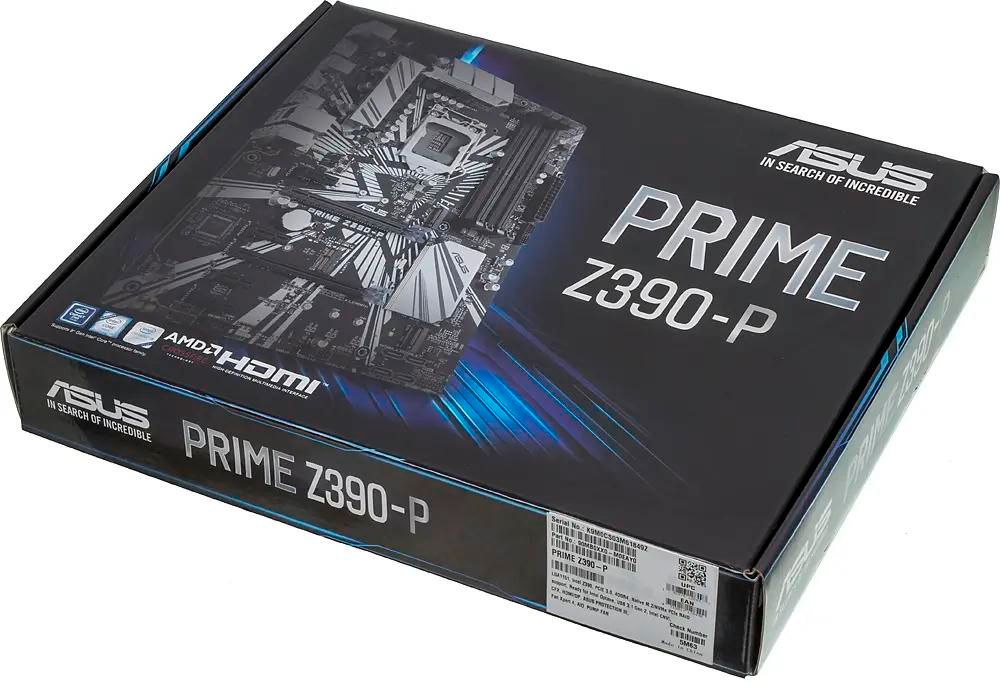 Z 2025 390 p