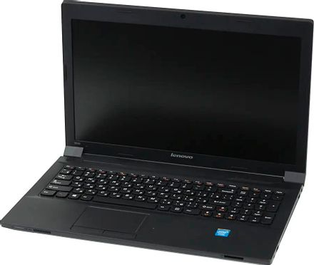 Ноутбук Lenovo IdeaPad B590 15.6", Intel Celeron 1005M 1.9ГГц, 2-ядерный, 4ГБ DDR3, 320ГБ,  Intel HD Graphics, FreeDOS, черный [59395327]