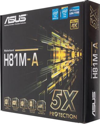 Asus h81ma hotsell