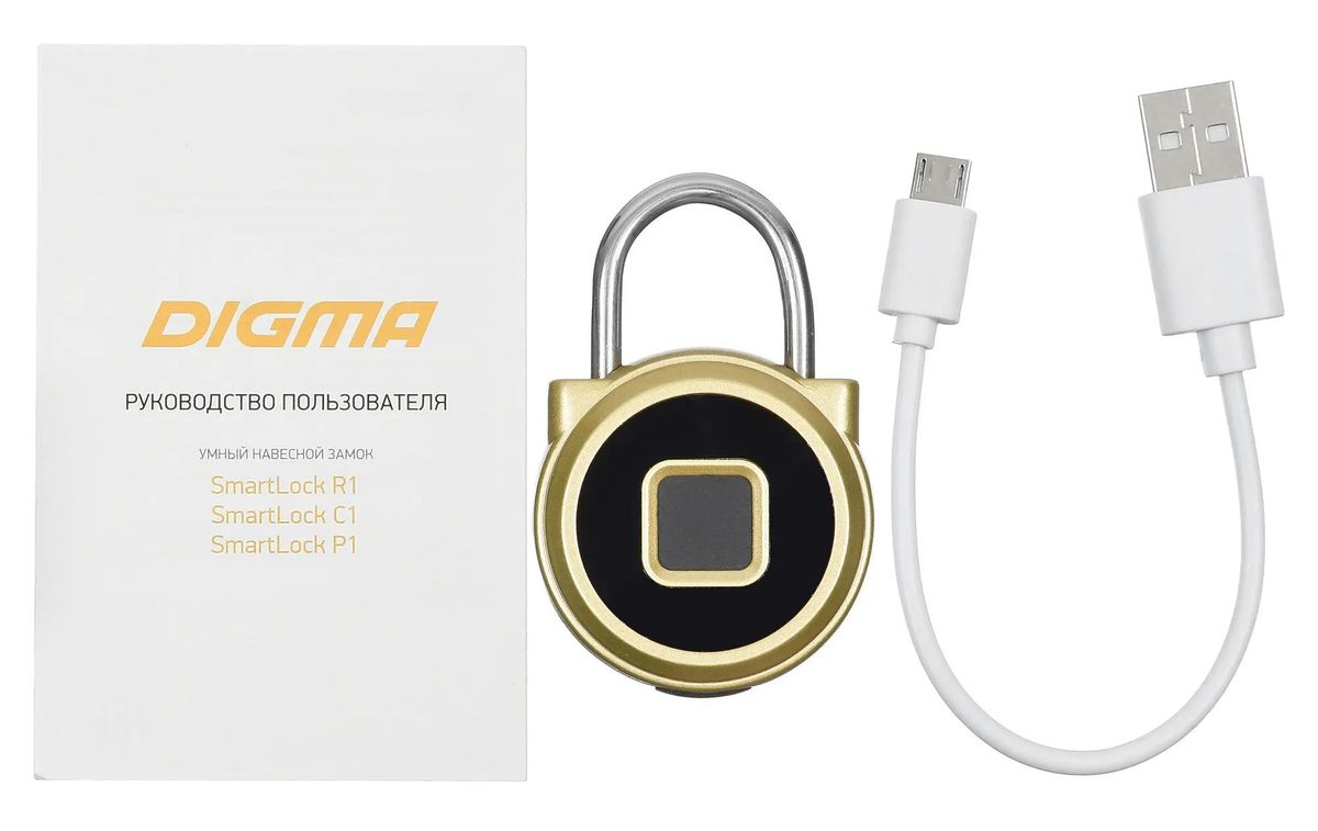 Умный замок Digma SmartLock R1, навесной, золотистый – купить в Ситилинк |  1146256