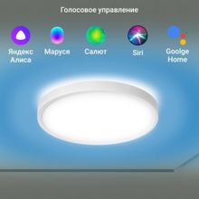 Умный светильник Digma TopLight TL40 потолочный