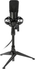 Микрофон Ritmix RDM-160,  черный