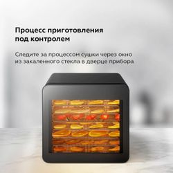 Сушилка для овощей и фруктов BQ FD1006, черный