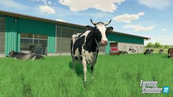 Игра GIANTS SOFTWARE Farming Simulator 22, для  ПК,  регион: Россия