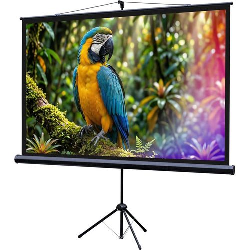 Экран для проекторов Lumien LEV-100113