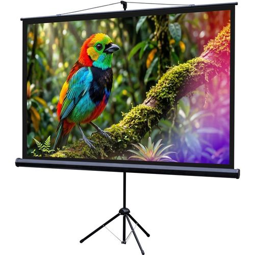 Экран Lumien Eco Picture LEV-100114, 115х200 см, 16:9, напольный черный — цена и наличие Экран Lumien Eco Picture LEV-100114, 115х200 см, 16:9, напольный черный