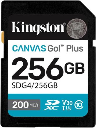 Карта памяти SDXC UHS-I Kingston Canvas Go! Plus 256 ГБ, 170 МБ/с, Class 10, SDG4/256GB, 1 шт., без адаптера