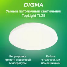 Умный светильник Digma TopLight TL25 потолочный