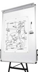 Флипчарт-доска BRAUBERG Standard магнитно-маркерная лак 70x100см на ножках