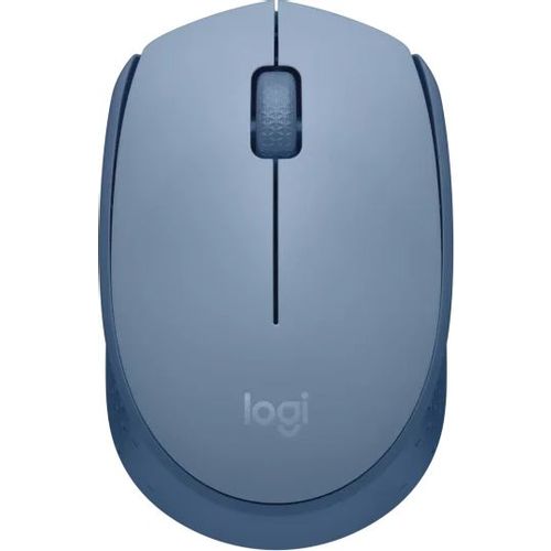 Мышь беспроводная Logitech M171, радио, оптическая, USB, 1000dpi, голубой [910-006866]