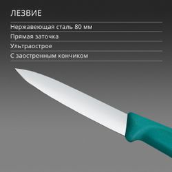 Нож кухонный Victorinox Swiss Classic, универсальный, для чистки овощей и фруктов, 80мм, заточка прямая, стальной, зеленый