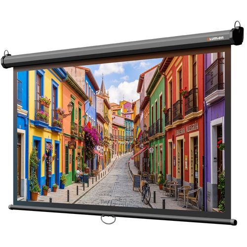 Экран Lumien Eco Picture LEP-100130, 227х157 см, 16:9, настенно-потолочный черный