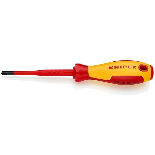 Отвертка KNIPEX KN-982502SLS, PZ2 длина стержня 100мм — цена и наличие Отвертка KNIPEX KN-982502SLS, PZ2 длина стержня 100мм
