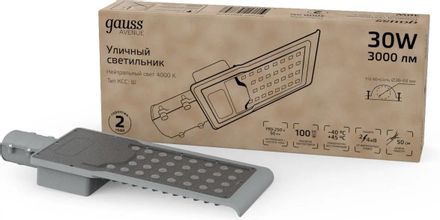 Светильник уличный GAUSS Avenue, 629534230, черный/серый