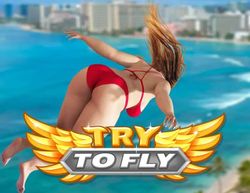 Игра BOOMBIT GAMES Try to Fly, для ПК, регион: Россия, Весь мир