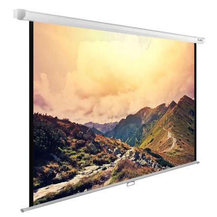 Экран Cactus WallExpert CS-PSWE-240x180-WT, 240х180 см, 4:3, настенно-потолочный