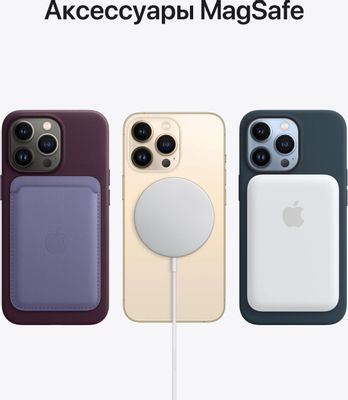 Смартфон Apple iPhone 13 Pro Max 128Gb, A2484, небесно-голубой – купить в  Ситилинк | 1736701