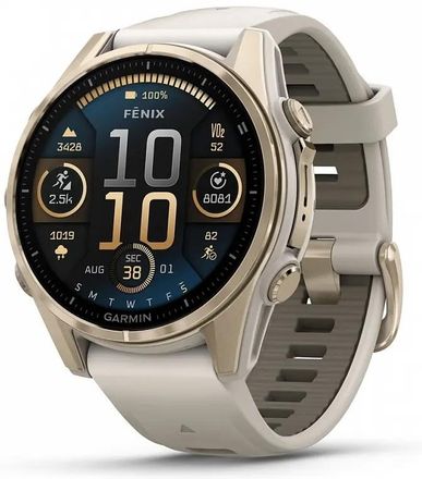 Смарт-часы Garmin Fenix 8, 43мм, 1.3", серый/золотистый