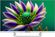 Изображение товара 24" Телевизор TOPDEVICE TDTV24CS04H_WE HD, белый, СМАРТ ТВ, Android