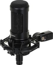 Изображение товара Микрофон Audio-Technica AT2050 конденсаторный кардиоидный настольный XLR