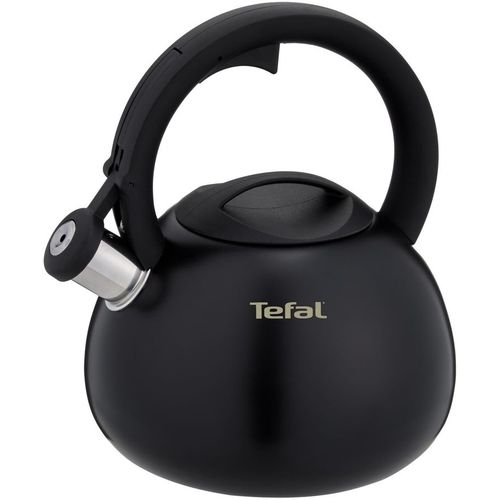 Металлический чайник Tefal N4180417, 2.5л, черный [3110601825]