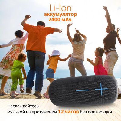 Колонка портативная SunWind SW-PS106, 10Вт, черный – купить в Ситилинк ...