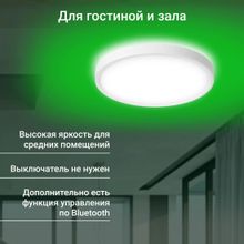 Умный светильник Digma TopLight TL40 потолочный