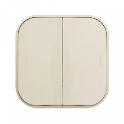Выключатель Legrand Quteo 2-клавишный, установка открытая, IP20, слоновая кость