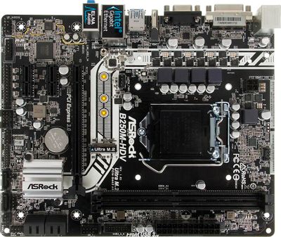 Asrock discount b250 hdv