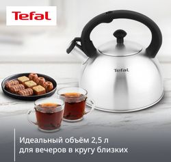 Металлический чайник Tefal N4210117,  2.5л