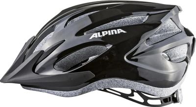 �������� ALPINA MTB 17