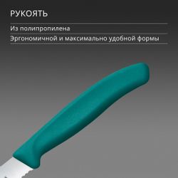 Нож кухонный Victorinox Swiss Classic, столовый, для томатов, 110мм, заточка серрейтор, стальной, зеленый