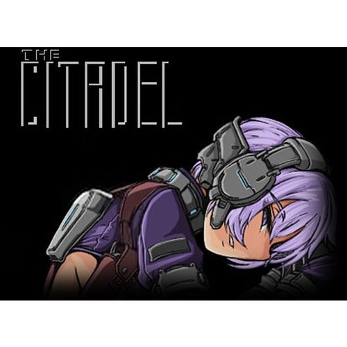 Игра TOP HAT STUDIOS The Citadel, для ПК, регион: Россия, английская версия