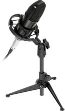 Микрофон Ritmix RDM-160,  черный