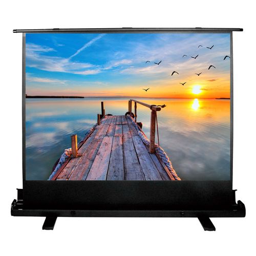 Экран Cactus FloorExpert CS-PSFLE-200X113, 200х113 см, 16:9, напольный