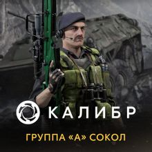Изображение товара Дополнение к игре 1C GAME STUDIOS Калибр Группа А Сокол для ПК