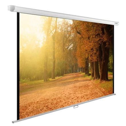 Экран Cactus WallExpert CS-PSWE-200x125-WT,  200х125 см, 16:10,  настенно-потолочный