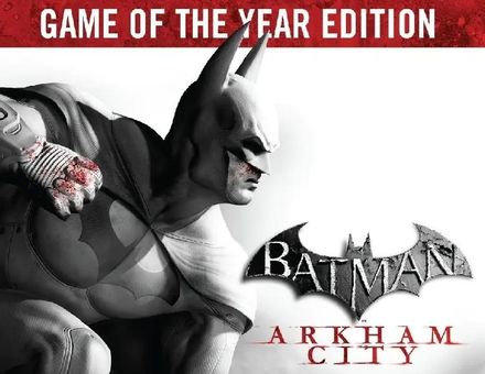 Игра WARNER BROTHERS Batman: Arkham City - Game of the Year Edition, для ПК, регион: Россия,СНГ, английская версия