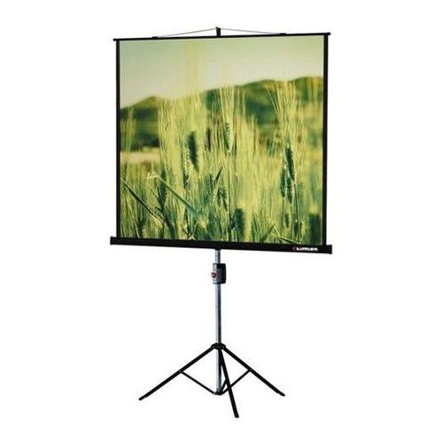 Экран Lumien Master View LMV-100113, 165х220 см, 4:3, напольный