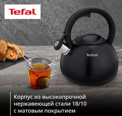 Металлический чайник Tefal N4180417,  2.5л