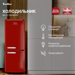 Холодильник двухкамерный TESLER RB-107