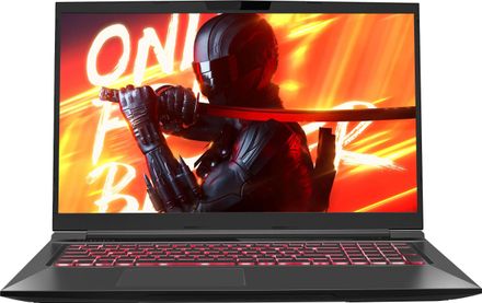 Ноутбук игровой MAIBENBEN X725, 17.3", IPS, Intel Core i5 12450H 2ГГц, 8-ядерный, 16ГБ DDR4, 512ГБ SSD,  NVIDIA GeForce  RTX 4060 для ноутбуков - 8 ГБ, TGP 115Вт, Linux,  черный [x725fsfnlbre0]