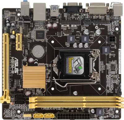 Asus h81ma shop
